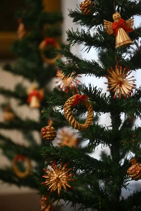 2P23l0_pLgm9l7OrwM7nCVCKmea9Qgs3JyQ9tVKmNx33jHcYVoF2clWeMYJG5diM7vnx0Fcnqursg5Hkm9lFFMGx (1)